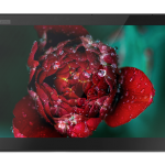 ThinkPad_X1_Tablet_3rd_Gen_CT4_03